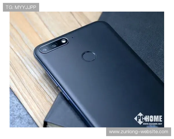 Z6尊龙手机版安全稳定运行保障，确保玩家在手机端畅享无忧游戏体验